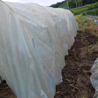 오화순님의 자유주제 · 자유게시판 작성글 사진