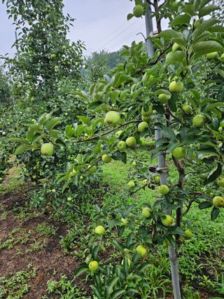 조균원님의 작성글 사진
