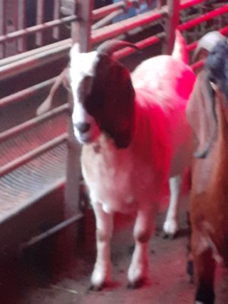 최제영님의 자유주제 · 자유게시판 작성글 사진