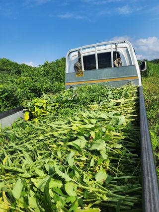 제주부자팜님의 자유주제 · 자유게시판 작성글 사진