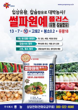 엔피코뉴스님의 자유주제 · 자유게시판 작성글 사진