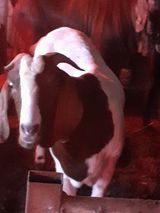 팜모닝 자유주제·자유게시판 게시글 이미지