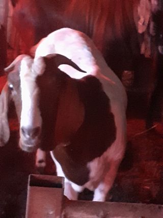 최제영님의 자유주제 · 자유게시판 작성글 사진