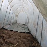 팜모닝 자유주제·자유게시판 게시글 이미지