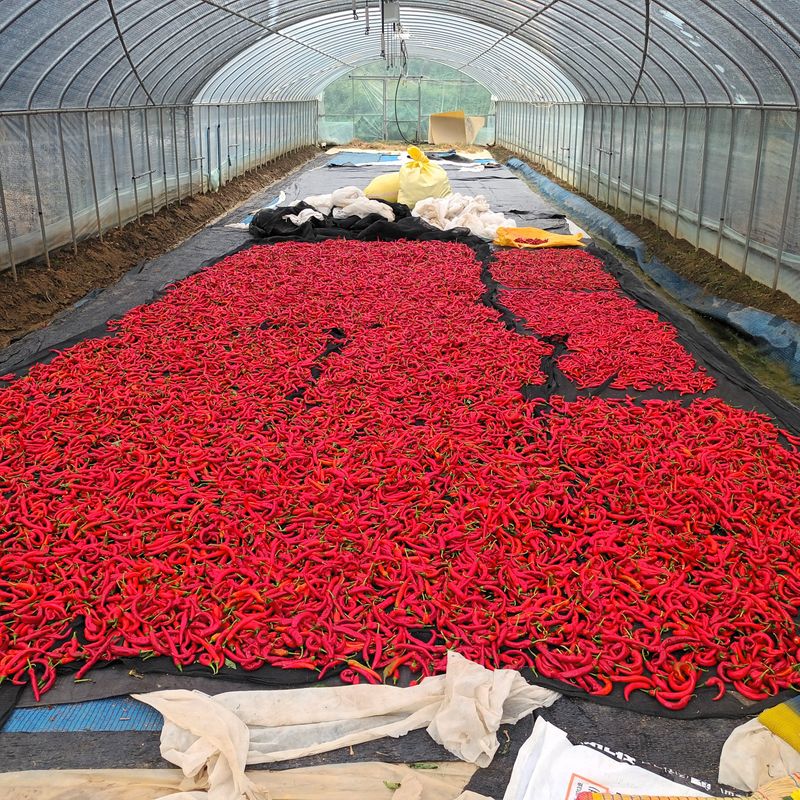 장터 상품 [고추가루] 썸네일