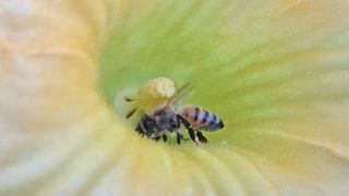 이정운님의 자유주제 · 자유게시판 작성글 사진