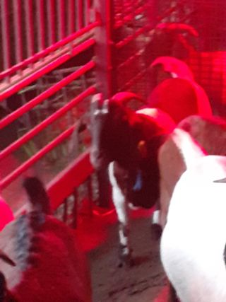 최제영님의 자유주제 · 자유게시판 작성글 사진