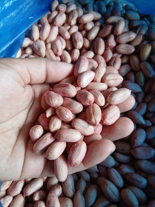 SARIFUDIN YASINTA MARYAMA님의 자유주제 · 자유게시판 작성글 사진