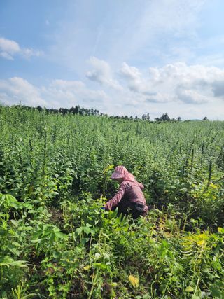 제주부자팜님의 자유주제 · 자유게시판 작성글 사진