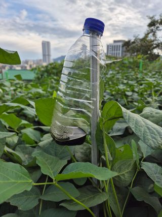 담디농원님의 콩 · 자유게시판 작성글 사진