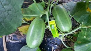 이정운님의 자유주제 · 자유게시판 작성글 사진