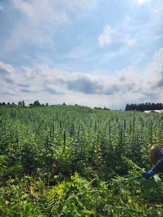 제주부자팜님의 자유주제 · 자유게시판 작성글 사진
