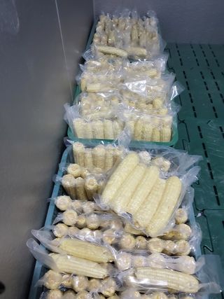 이연화님의 자유주제 · 자유게시판 작성글 사진