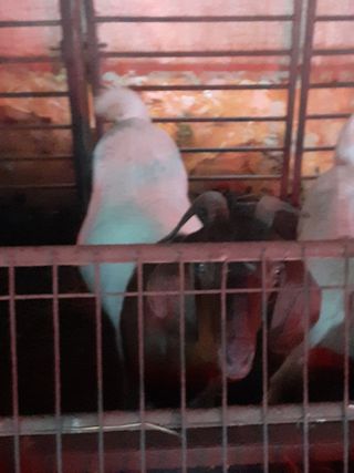 최제영님의 자유주제 · 자유게시판 작성글 사진