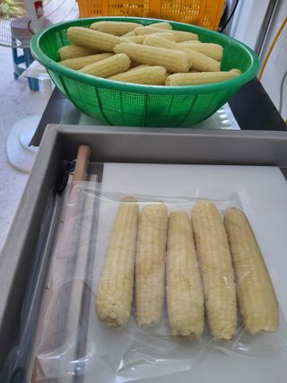 이연화님의 자유주제 · 자유게시판 작성글 사진