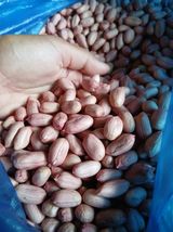 팜모닝 자유주제·자유게시판 게시글 이미지