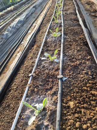 장례지도사1급님의 자유주제 · 자유게시판 작성글 사진