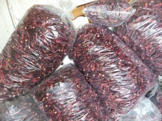 준영님의 최고의 제초제는 무엇인가요? · 참여 작성글 사진