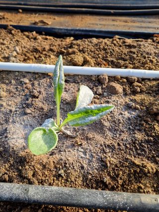 장례지도사1급님의 자유주제 · 자유게시판 작성글 사진