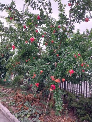 장준호님의 자유주제 · 자유게시판 작성글 사진