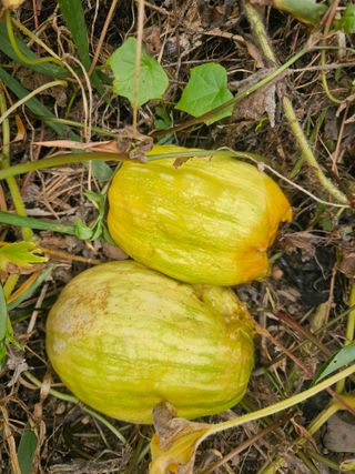 farmer님의 자유주제 · 자유게시판 작성글 사진