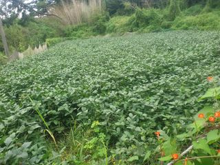 박석중님의 자유주제 · 자유게시판 작성글 사진