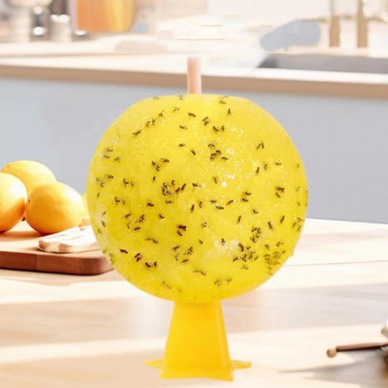 장터 상품 [날벌레 날파리 퇴치 퇴치제 해충 끈끈이 트랩 퇴치법] 썸네일