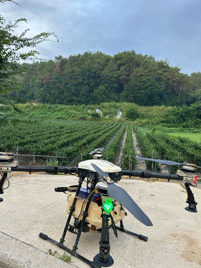 이재운님의 장터 판매 상품 [고추가루 1근 (600g) 팝니다.] 첨부 사진