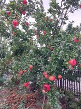 팜모닝 자유주제·자유게시판 게시글 이미지