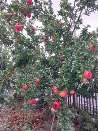 장준호님의 자유주제 · 자유게시판 작성글 사진