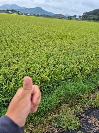 김영진(전남영광)님의 자유주제 · 자유게시판 작성글 사진