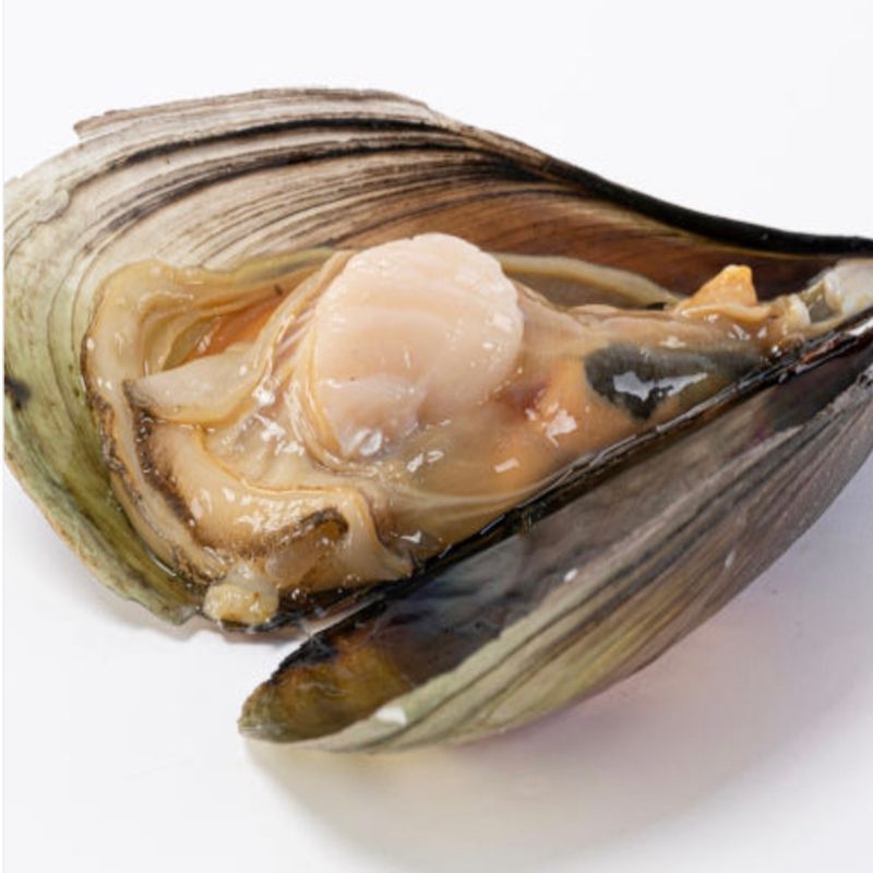 장터 상품 [국내 전남 완도산 생물 키조개 10kg 캠핑 조개구이 조개찜 키조개관자살] 썸네일