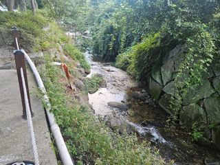 보은 김영순님의 자유주제 · 자유게시판 작성글 사진