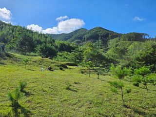 보은 김영순님의 자유주제 · 자유게시판 작성글 사진
