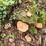 팜모닝 자유주제·자유게시판 게시글 이미지