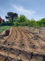 팜모닝 농사, 무엇이든 물어보세요!·참여글 게시글 이미지