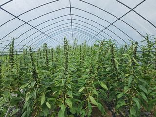 아침못자연농원님의 자유주제 · 자유게시판 작성글 사진