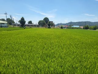 보은 김영순님의 자유주제 · 자유게시판 작성글 사진