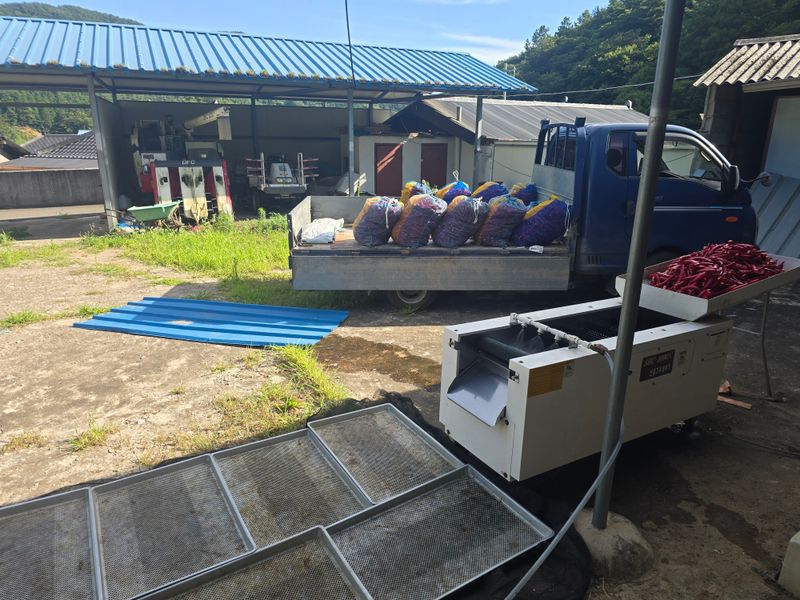 강미향님의 장터 판매 상품 [2025년산 햇고춧가루 ] 첨부 사진