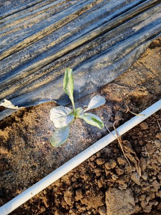 장례지도사1급님의 자유주제 · 자유게시판 작성글 사진