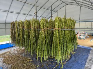 아침못자연농원님의 자유주제 · 자유게시판 작성글 사진