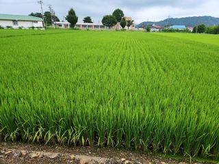 보은 김영순님의 자유주제 · 자유게시판 작성글 사진