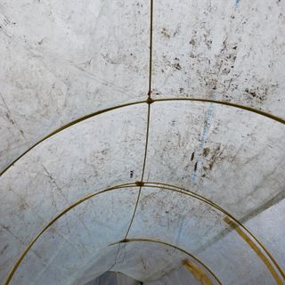 오화순님의 자유주제 · 자유게시판 작성글 사진