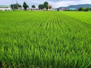보은 김영순님의 자유주제 · 자유게시판 작성글 사진