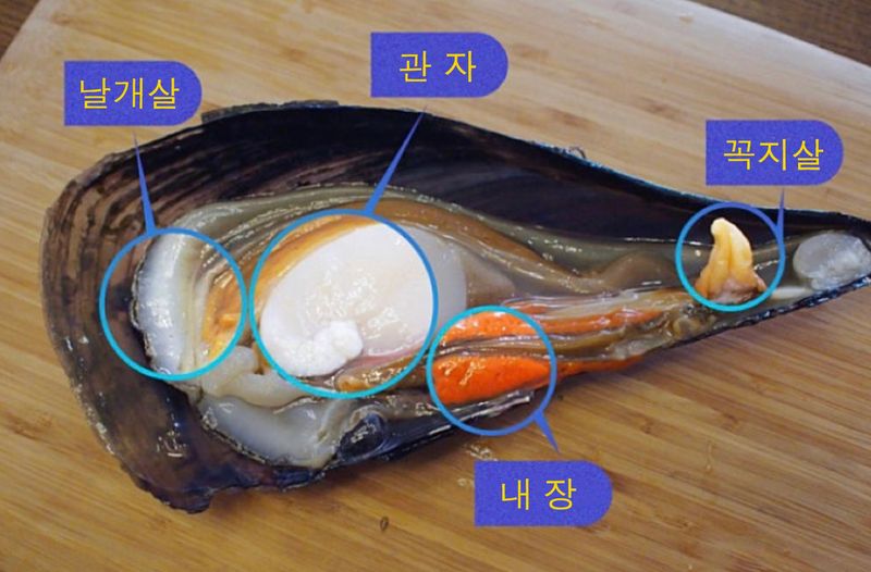 김진국님의 장터 판매 상품 [국내 전남 완도산 생물 키조개 10kg 캠핑 조개구이 조개찜 키조개관자살] 첨부 사진