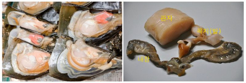 김진국님의 장터 판매 상품 [국내 전남 완도산 생물 키조개 10kg 캠핑 조개구이 조개찜 키조개관자살] 첨부 사진