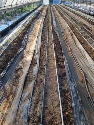 장례지도사1급님의 자유주제 · 자유게시판 작성글 사진