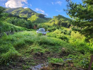 보은 김영순님의 자유주제 · 자유게시판 작성글 사진