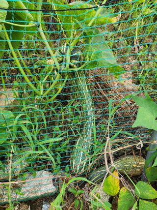 보은 김영순님의 자유주제 · 자유게시판 작성글 사진