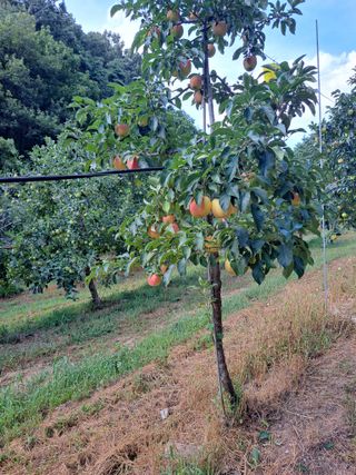 박수정님의 작성글 사진